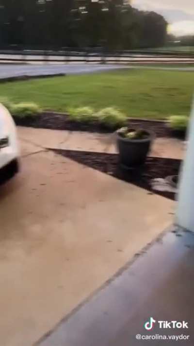 Wait what