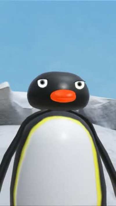 Pingu stumbles upon a murder