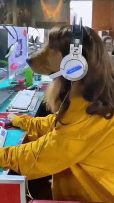Gamer