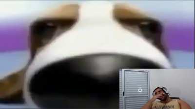 cursed_laugh
