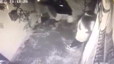 demdoodem-doopdooop-demdemdemdemdoopdoop