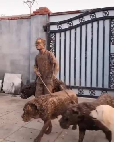 Who won that walk?