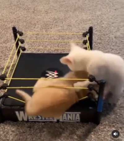 WrestleMania!