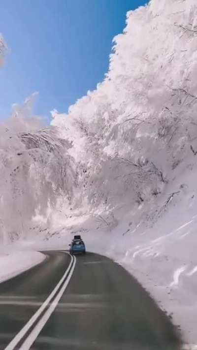Beauty of nature