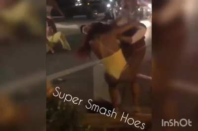 Two prides fight