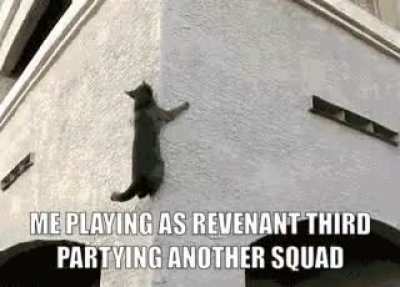 Any Rev mains?