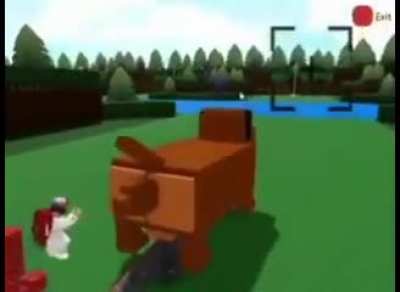 Dog Rida