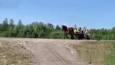 DAMN: Car Hits Horse & Buggy Traveling On a Public Road