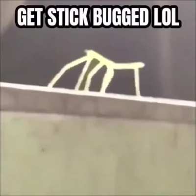 MoaiGreddit - Video #1913