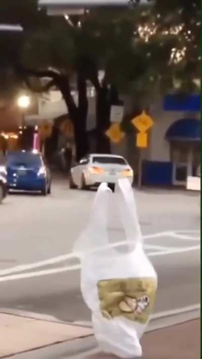 Can u explain 