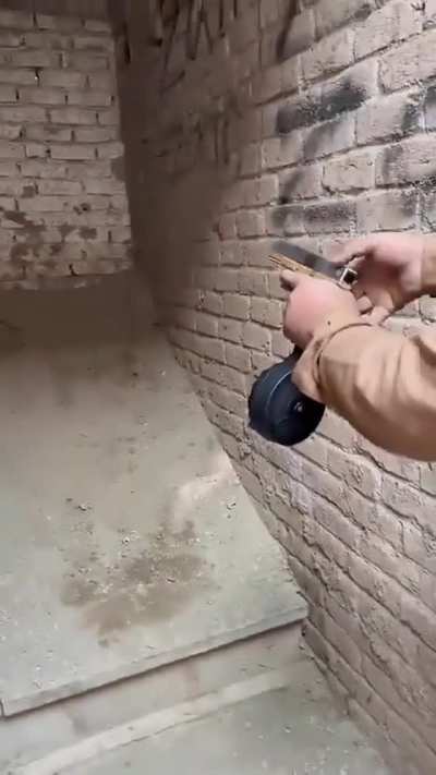 Brickell's pistol when you max buff her: