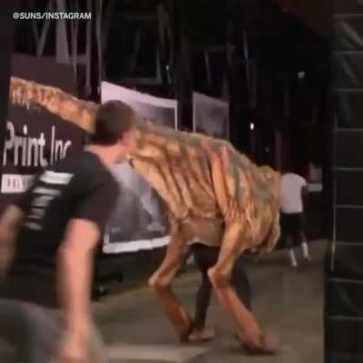 Phoenix Suns held a dinosaur jump scare for the entire team