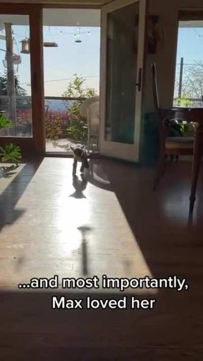 This is wholesome!