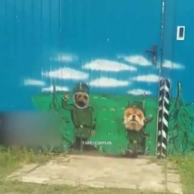 Два бойца