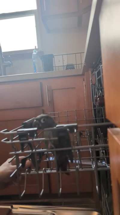 Just Doing Some Dishes