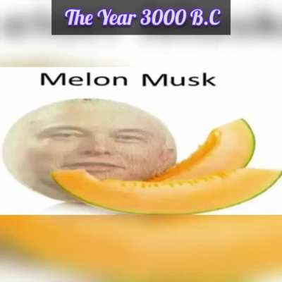 Melon musk kkkkkkk