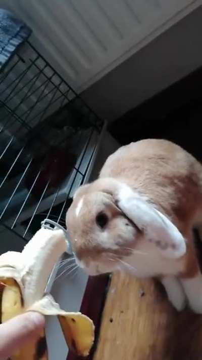 Banana 😋🤤