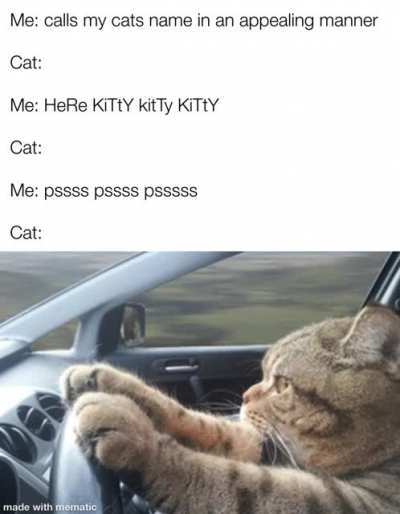 Selective hearing (posting again because the gif didn’t work last time)