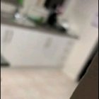 Cat startled by tin foil
