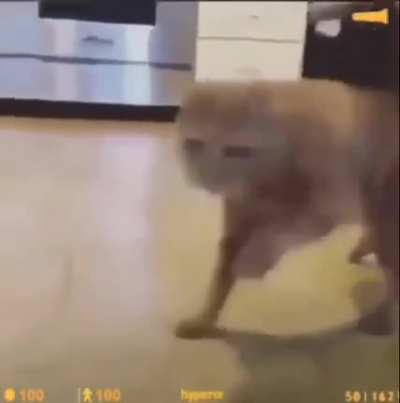 Que le pasaba