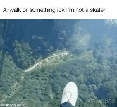Tony hawk or whatever
