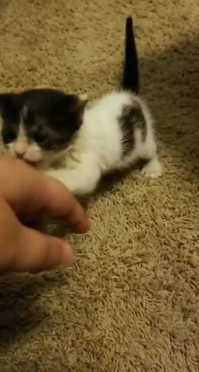 He scream 😭