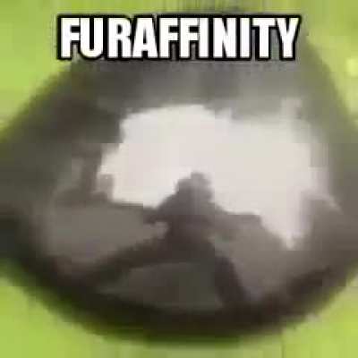 furry_irl