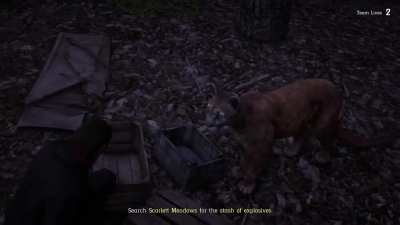 Panther patiently waits for me to inspect a clue before mauling me to death