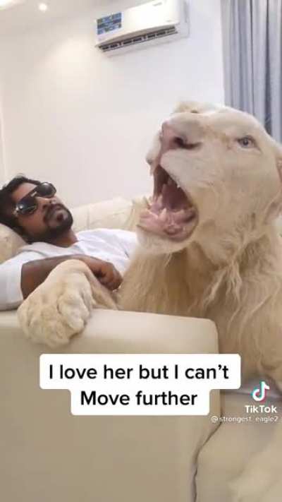 When regular pets just don’t do it for you