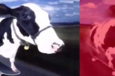 Pink Floyd - Atom Heart Mother Suite [Official Music Video]