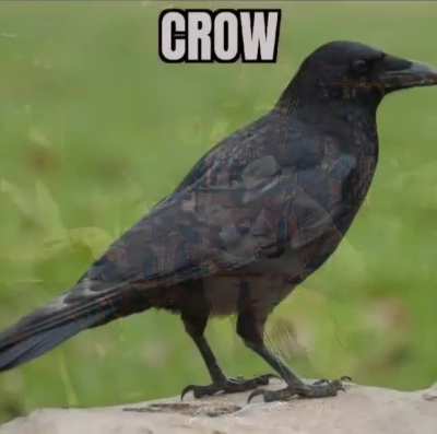 The Crownge
