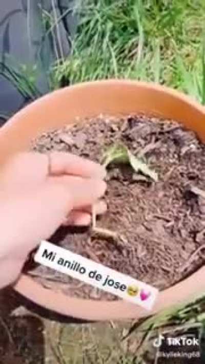 No se acordó de 