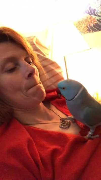 maybe if i toucc mouth, tongue will come out