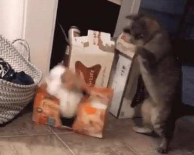 Portal's closed!