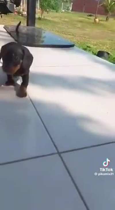 😎🤙🏻