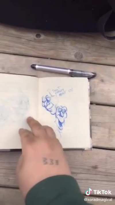 Schizophrenic artist