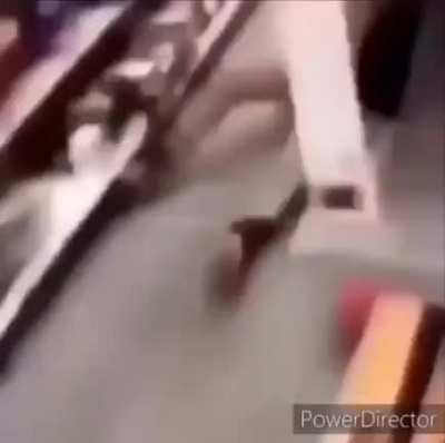 everything you’ve ever known is contained in this video
