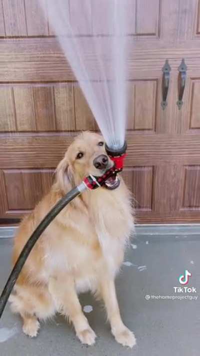 A good helper