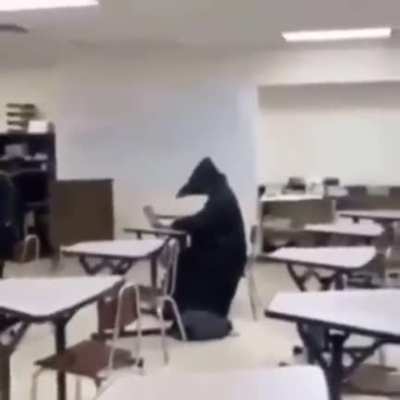Nadie doctores en la peste negra: