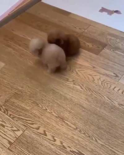 Play time