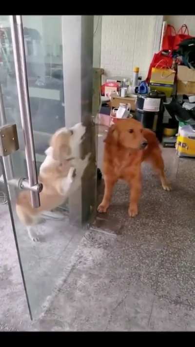 Dude You're so lucky there's glass between us.....