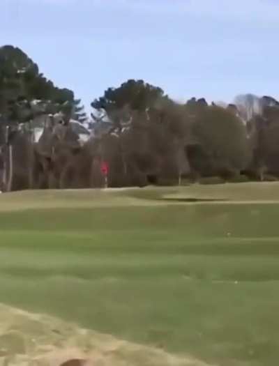 Wow 