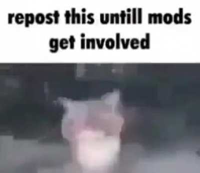 Tit