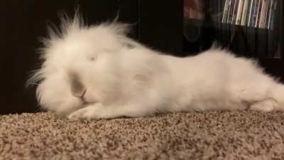 Time for some snoozin