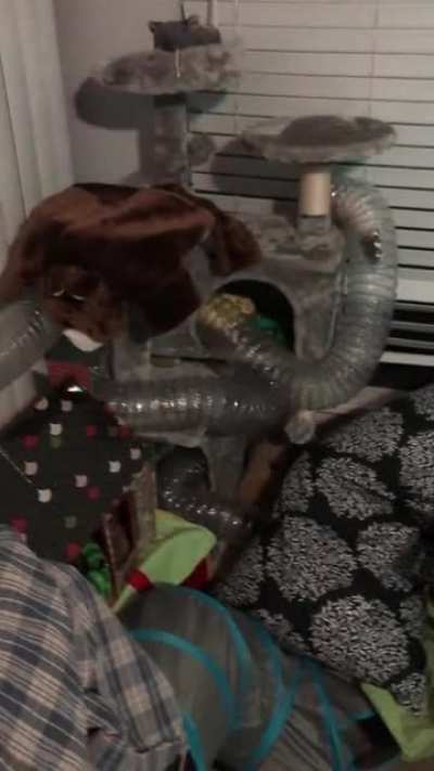Sonic the Fast Rat