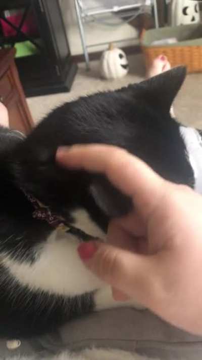 I booked her snoot!