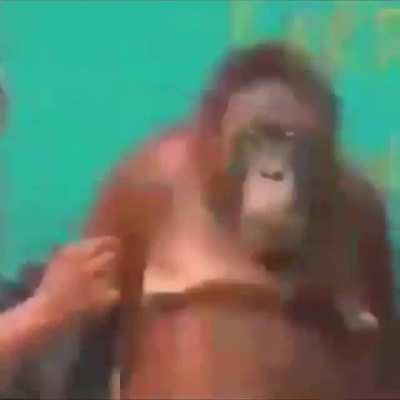 Monke magic
