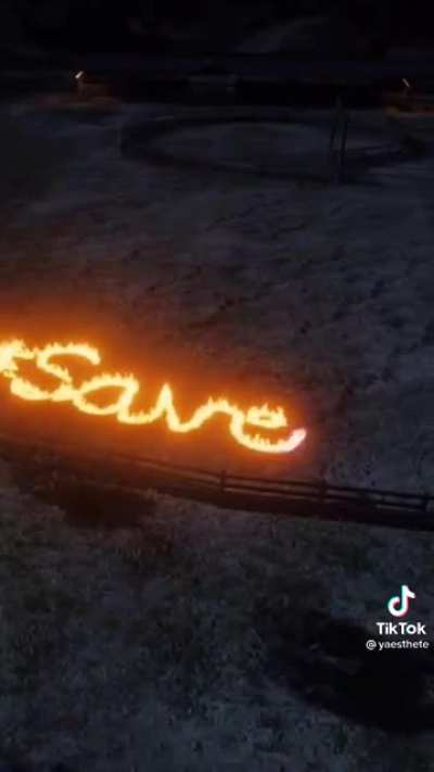 SAVE RED DEAD ONLINE