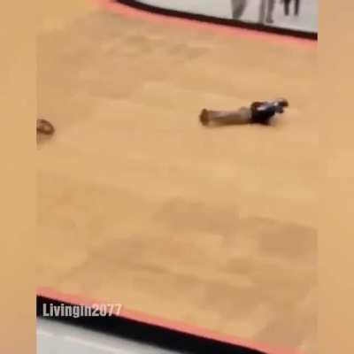 Foda