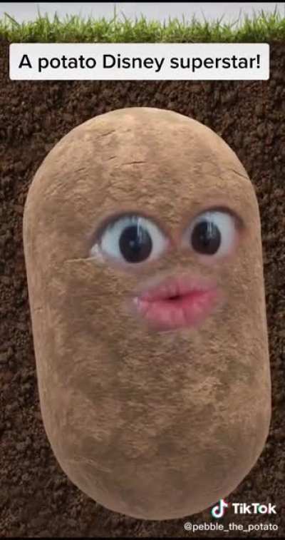 Potato